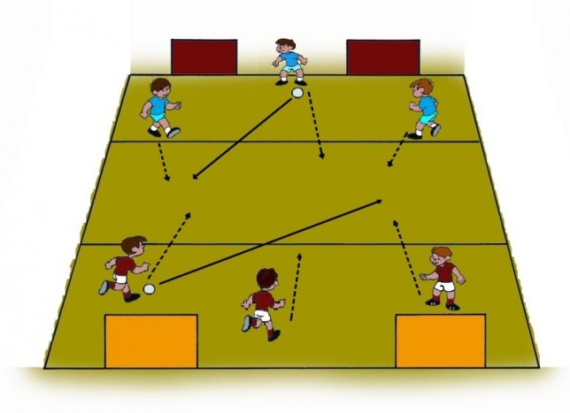 campo 3